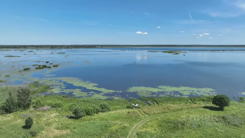 Участок в Ярославская область, Некрасовский район, Красный Профинтерн ... - Фото 1