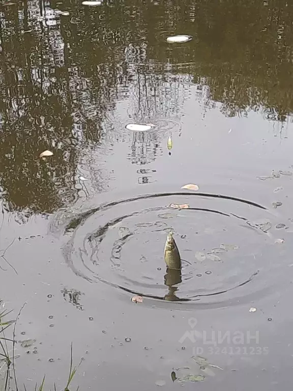 Дом в Ленинградская область, Тосненский район, Трубникоборское с/пос, ... - Фото 2