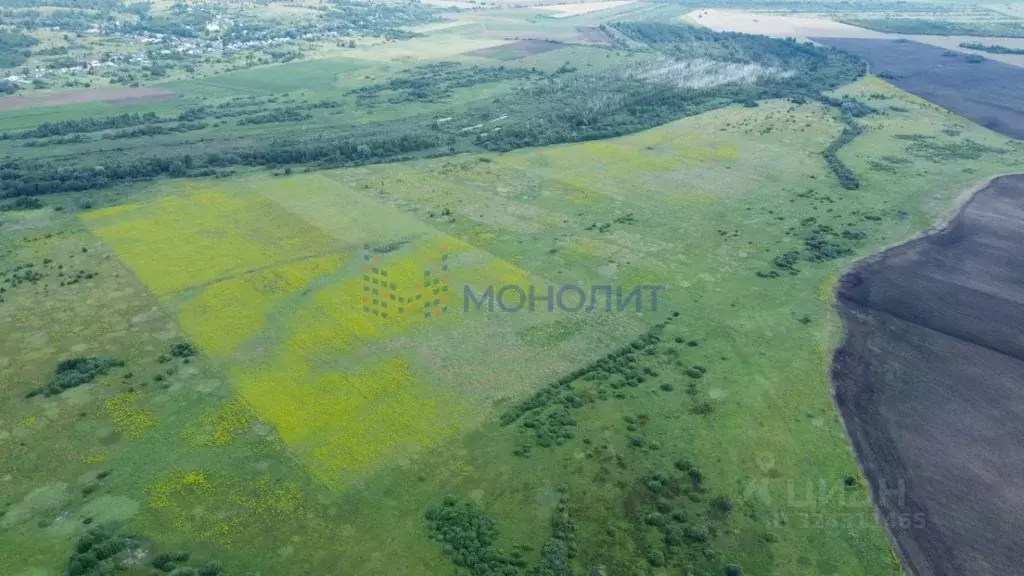 Участок в Нижегородская область, Лысковский район, с. Саурово Нижняя ... - Фото 1