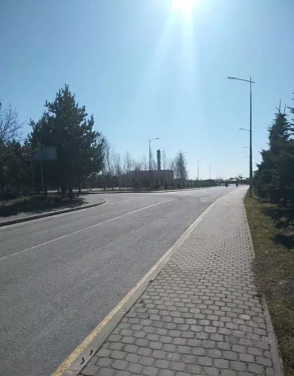 Участок в Санкт-Петербург, Санкт-Петербург, Петергоф Петергофские Дачи ... - Фото 2