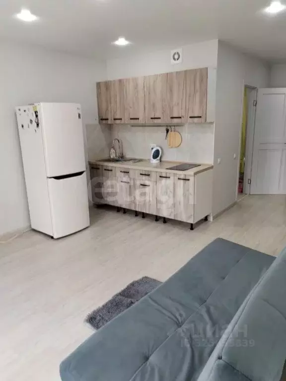 Студия Тюменская область, Тюменский муниципальный округ, д. Патрушева ... - Фото 1