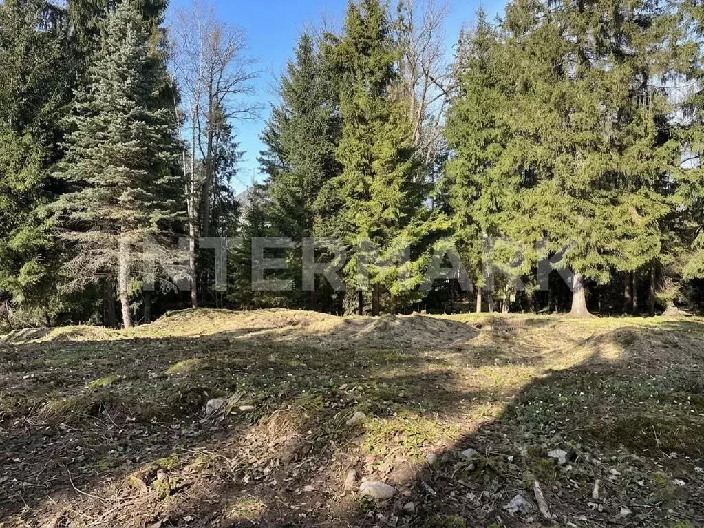 Участок в Московская область, Одинцовский городской округ, д. ... - Фото 1