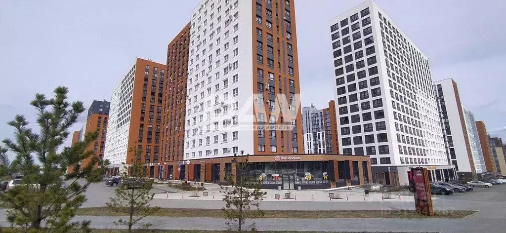 Помещение свободного назначения в Челябинская область, Челябинск ул. ... - Фото 1