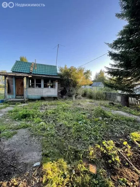 Участок в Новосибирск, СТ Сибиряк Пашинский (6.3 м) - Фото 2