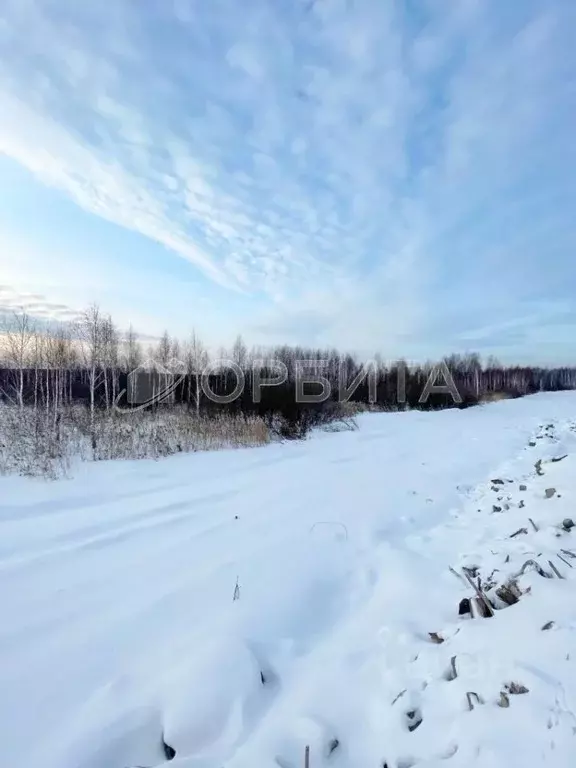 Участок в Тюменская область, Тюмень  (8.0 сот.) - Фото 1