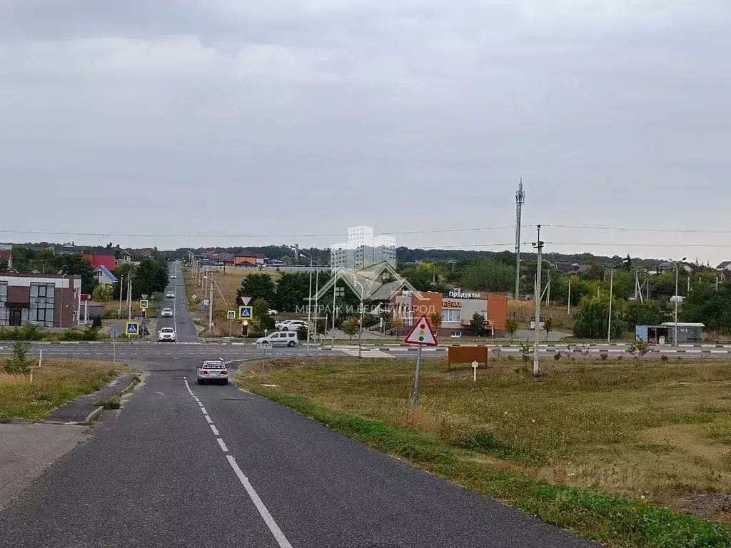 Участок в Белгородская область, Белгородский район, Тавровское с/пос, ... - Фото 0