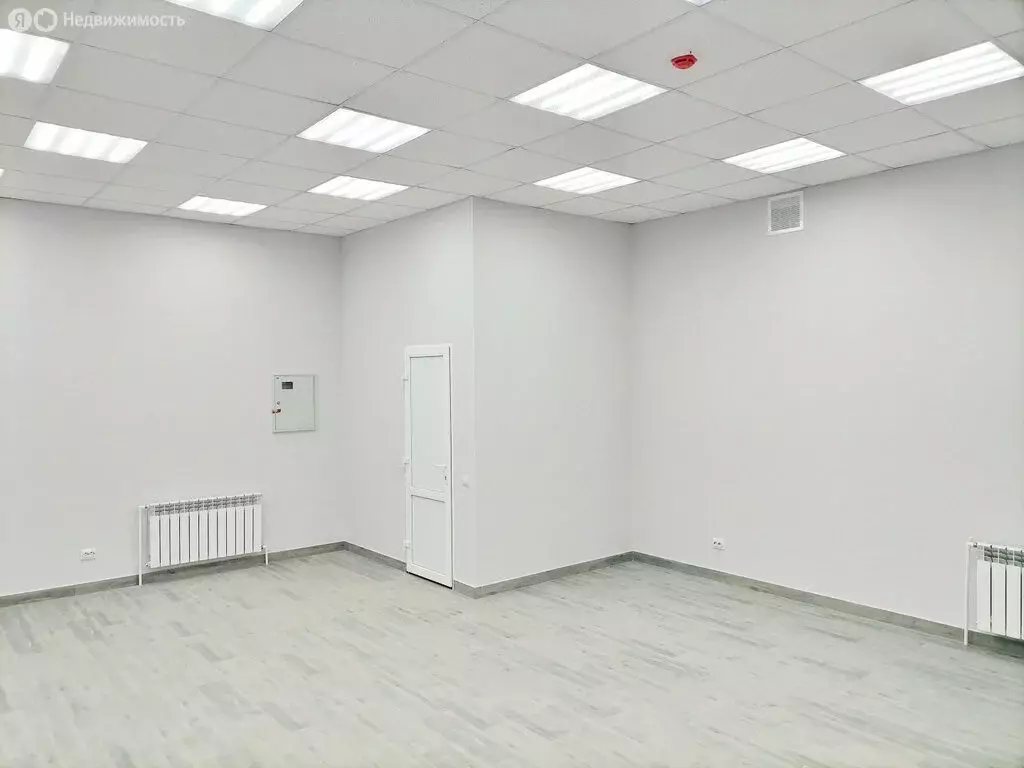 Помещение свободного назначения (44.5 м) - Фото 2