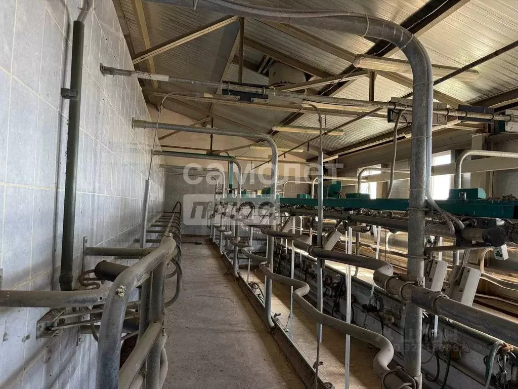 Производственное помещение в Астраханская область, Красноярский ... - Фото 2