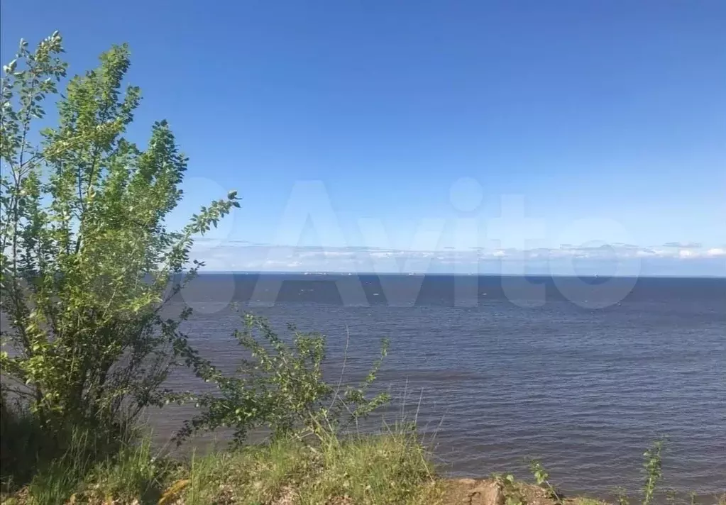 Участок 15 сот. (СНТ, ДНП) - Фото 1