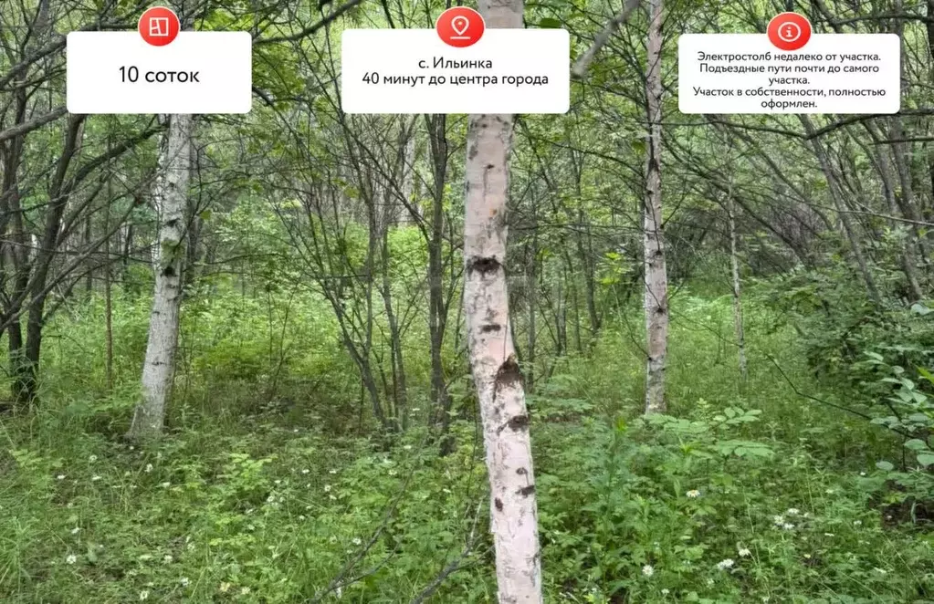 Участок в Хабаровский край, Хабаровск Рязанская ул. (10.0 сот.) - Фото 1