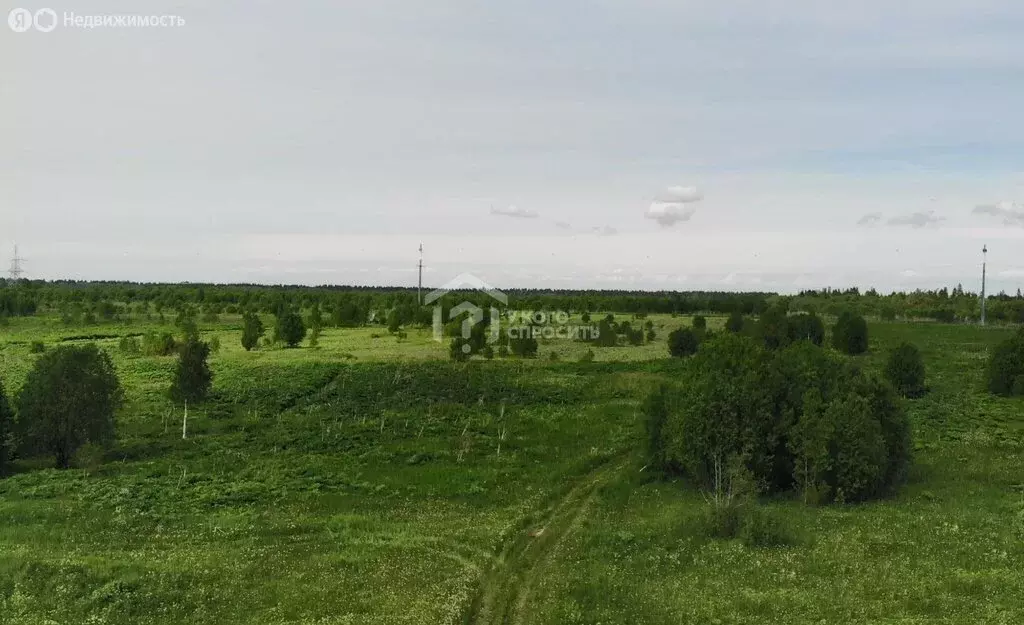 Участок в Кипенское сельское поселение, деревня Глухово (200 м) - Фото 0