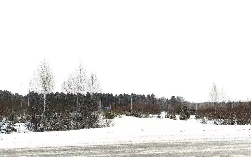 Участок в Тюменская область, Тюменский район, пос. Андреевский ул. ... - Фото 2