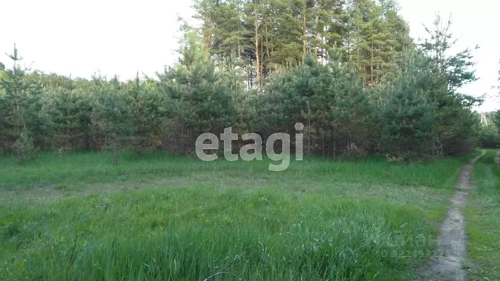 Участок в Вологодская область, Кирилловский муниципальный округ, д. ... - Фото 1