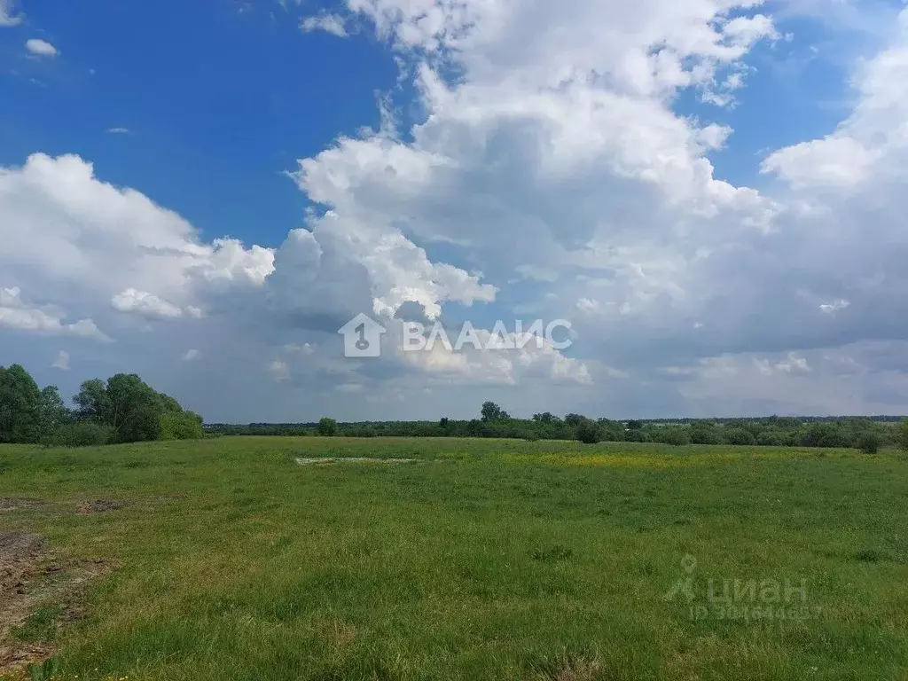 Участок в Пензенская область, с. Бессоновка проезд 3-й Ясный, 80 ... - Фото 0