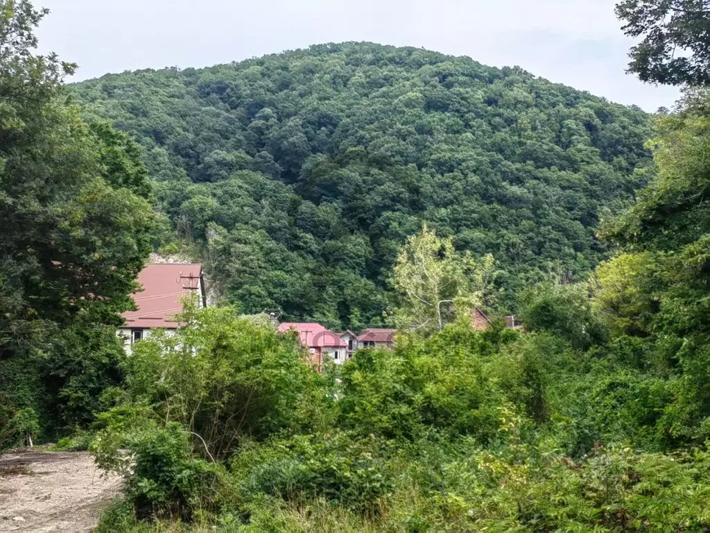 Участок в Краснодарский край, Туапсинский муниципальный округ, с. ... - Фото 0