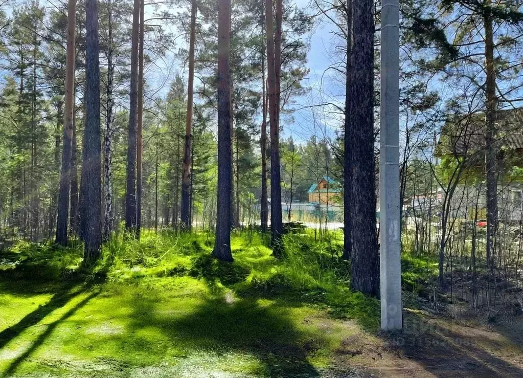 Участок в Свердловская область, Екатеринбург муниципальное ... - Фото 2