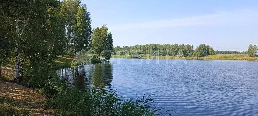 Участок в Тюменская область, Тюменский район, д. Малиновка, Малиновка ... - Фото 0