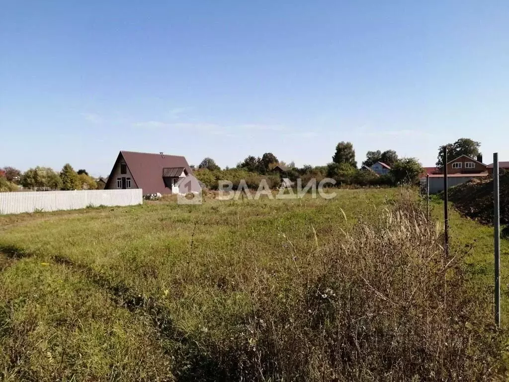 Участок в Владимирская область, Суздальский район, Селецкое ... - Фото 1