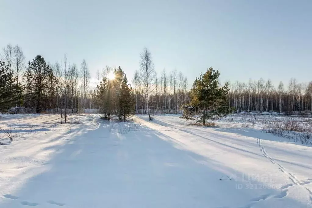Участок в Тюменская область, Тюменский район, Янтарное ДНТ  (7.4 сот.) - Фото 1