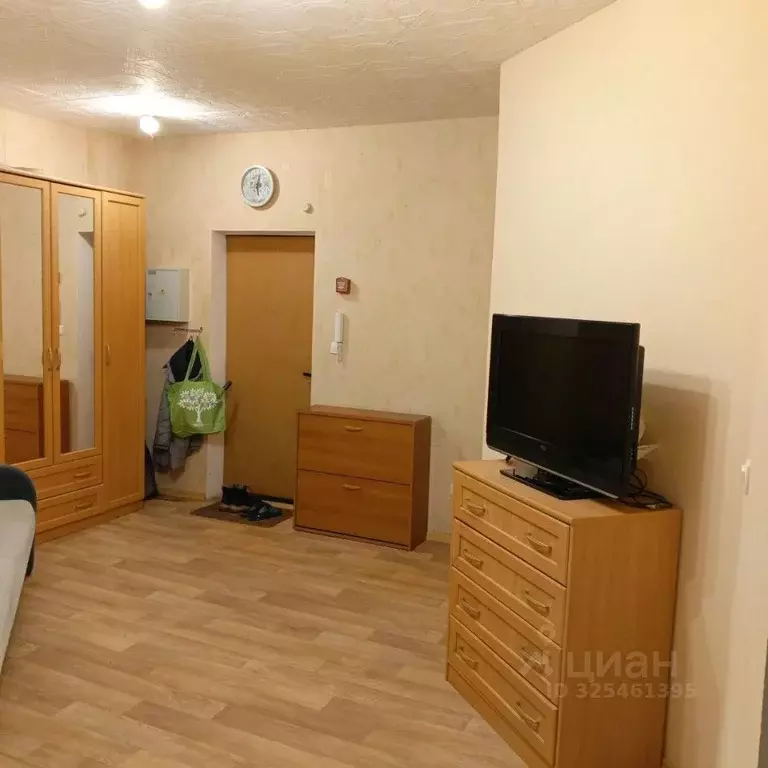 Студия Московская область, Электросталь ул. Ялагина, 13 (27.0 м) - Фото 1