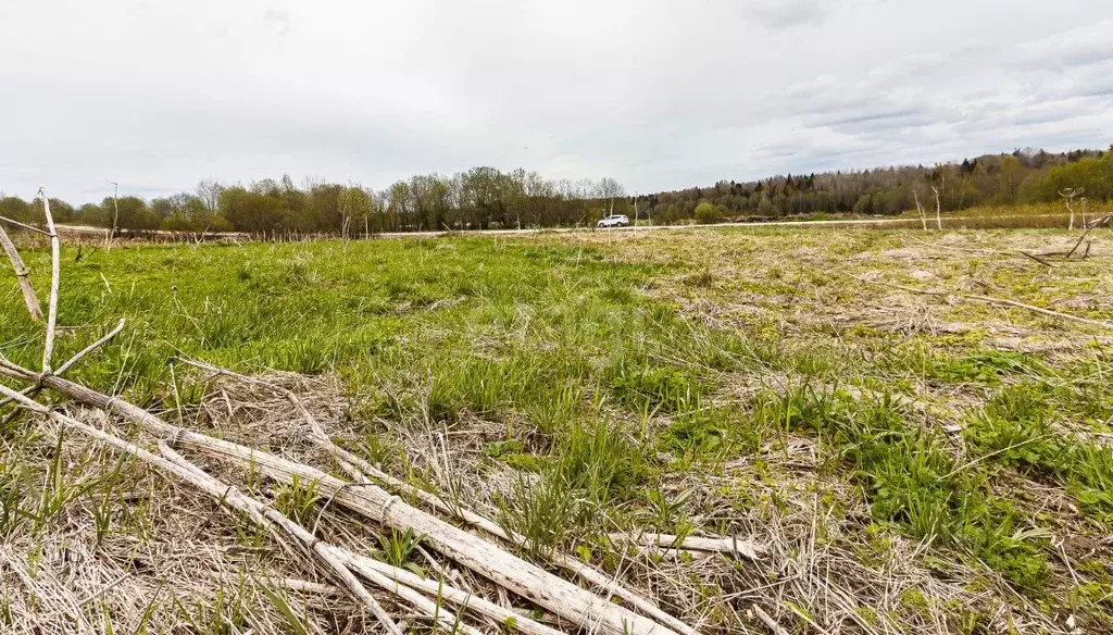 Участок в Вологодская область, пос. Перьево  (25.24 сот.) - Фото 1