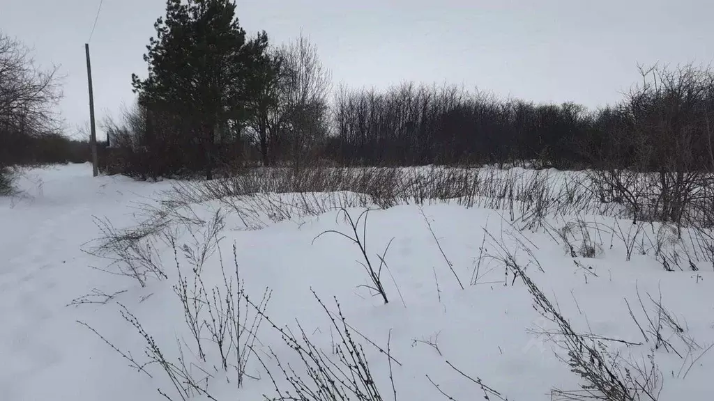 Участок в Татарстан, Елабуга Весна СНТ, ул. 7-я (12.0 сот.) - Фото 0