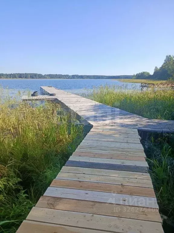 Дом в Тверская область, Осташковский муниципальный округ, д. Горбово  ... - Фото 1