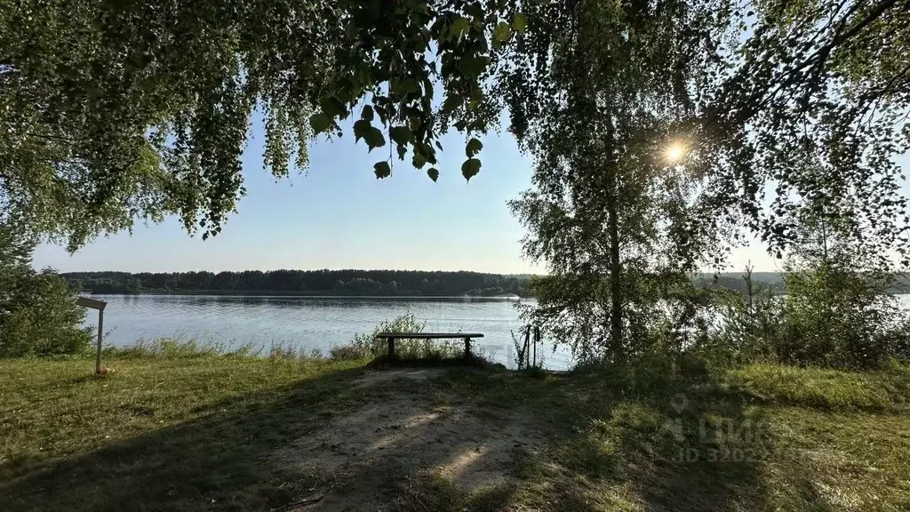 Участок в Ярославская область, Угличский муниципальный округ, ... - Фото 1