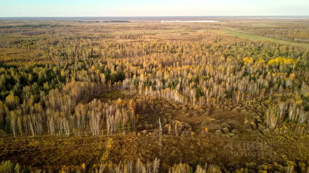 Участок в Тюменская область, Тюменский район, с. Салаирка  (20.84 ... - Фото 0