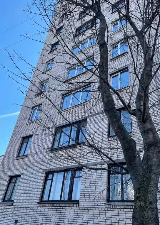 2-к кв. Санкт-Петербург ул. Руставели, 2К1 (45.9 м) - Фото 1