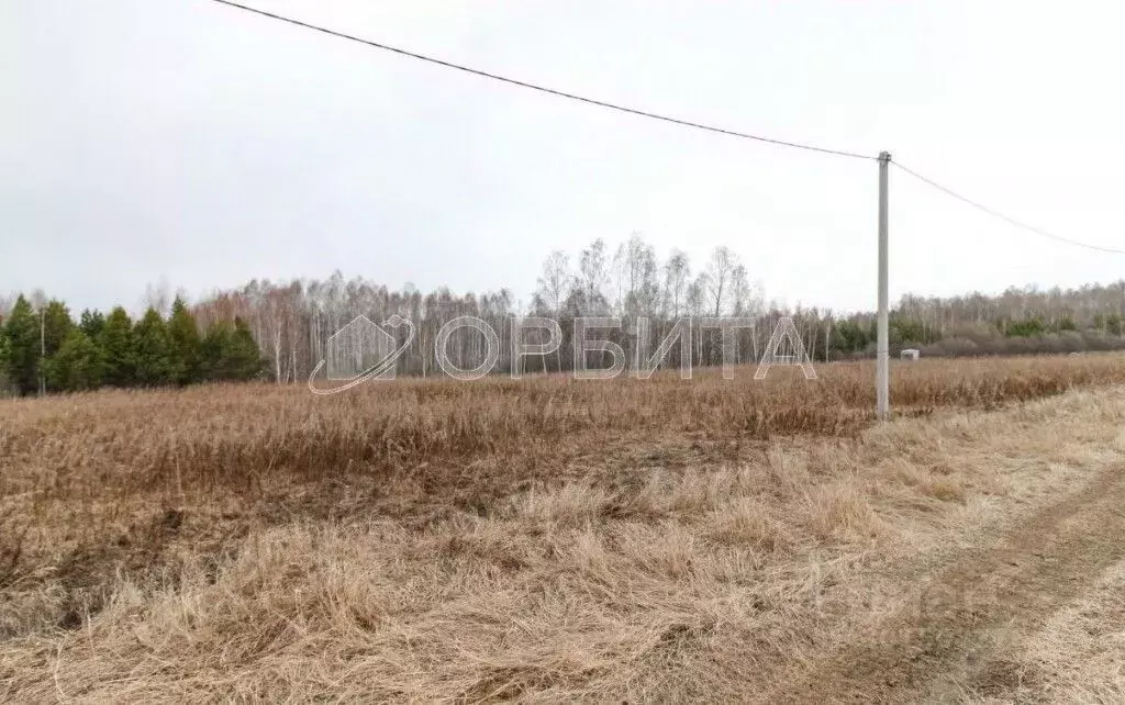 Участок в Тюменская область, Тюменский район, с. Кулига, Кулига-2 мкр  ... - Фото 0