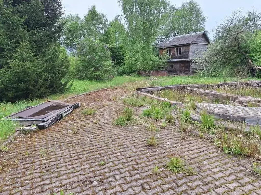 Участок в Псковская область, Островский муниципальный округ, д. ... - Фото 1