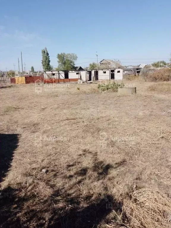 Участок в Волгоградская область, Иловля рп ул. Бетонная (10.0 сот.) - Фото 1