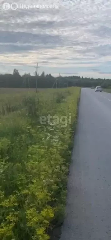 Участок в Пермский край, Добрянский муниципальный округ, деревня Бобки ... - Фото 0