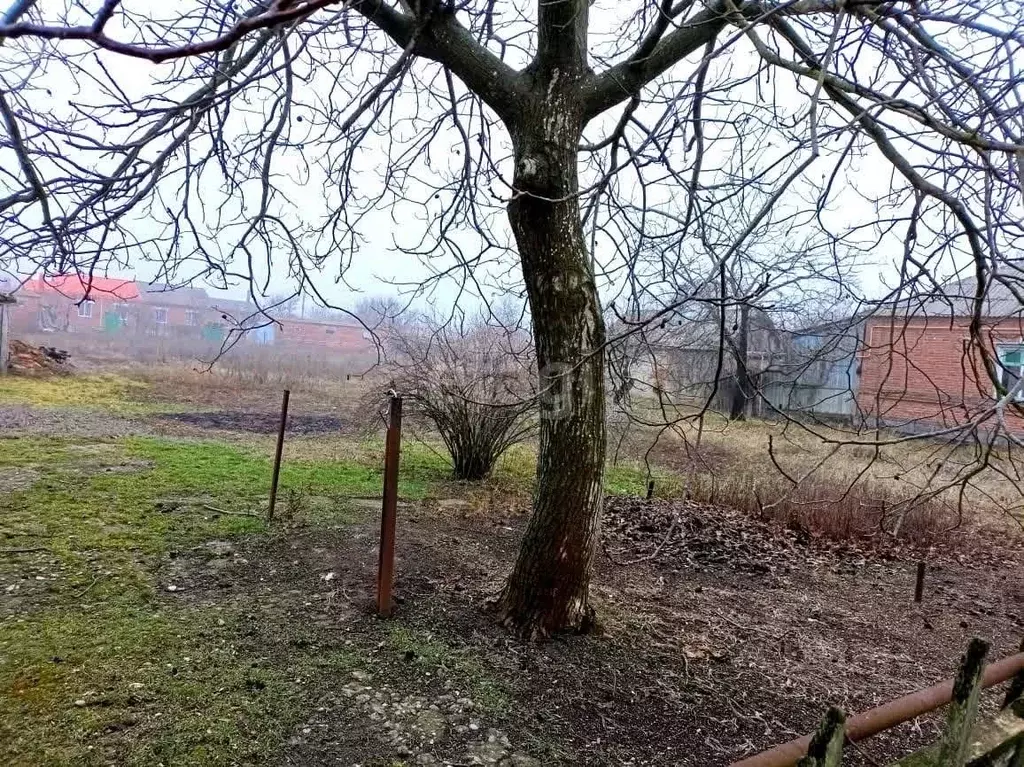 Дом в Краснодарский край, Ейский район, с. Кухаривка ул. Победы (43 м) - Фото 2