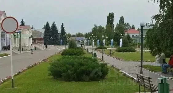 Торговая площадь в Саратовская область, Татищево рп ул. Советская, 1 ... - Фото 2