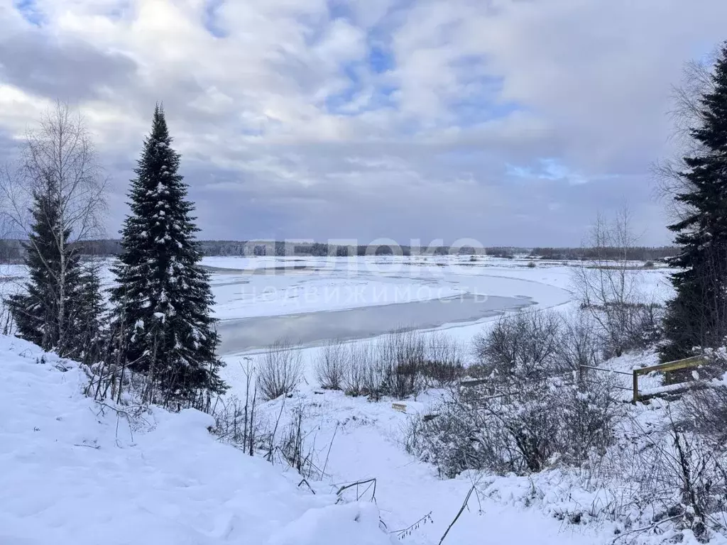 Участок в Пермский край, Березники муниципальный округ, д. Кондас ул. ... - Фото 2