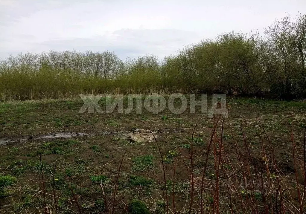 Участок в Новосибирская область, Искитимский район, с. Гусельниково ... - Фото 0