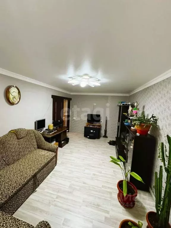 3-к кв. Крым, Саки ул. Курортная (65.4 м) - Фото 1