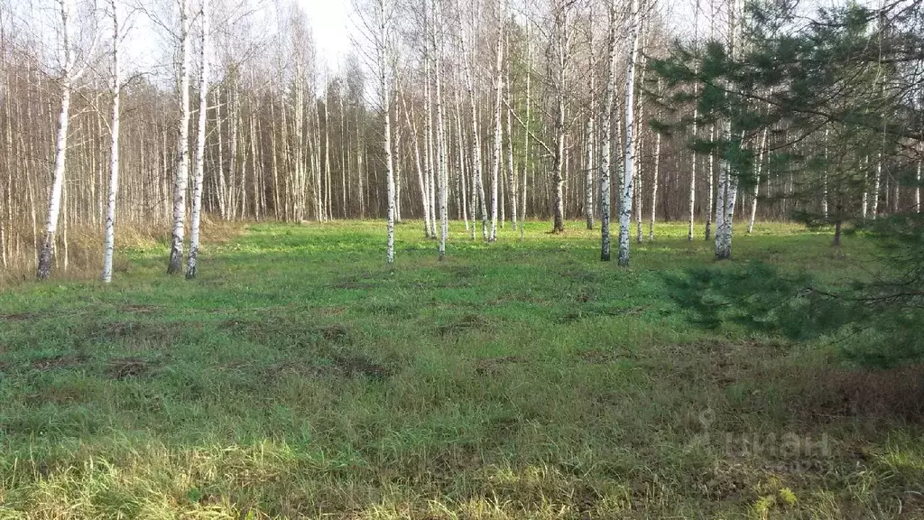 Участок в Ярославская область, Угличский район, Слободское с/пос, д. ... - Фото 1