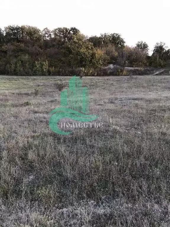 Участок в Бахчисарайский район, Железнодорожненское сельское ... - Фото 2