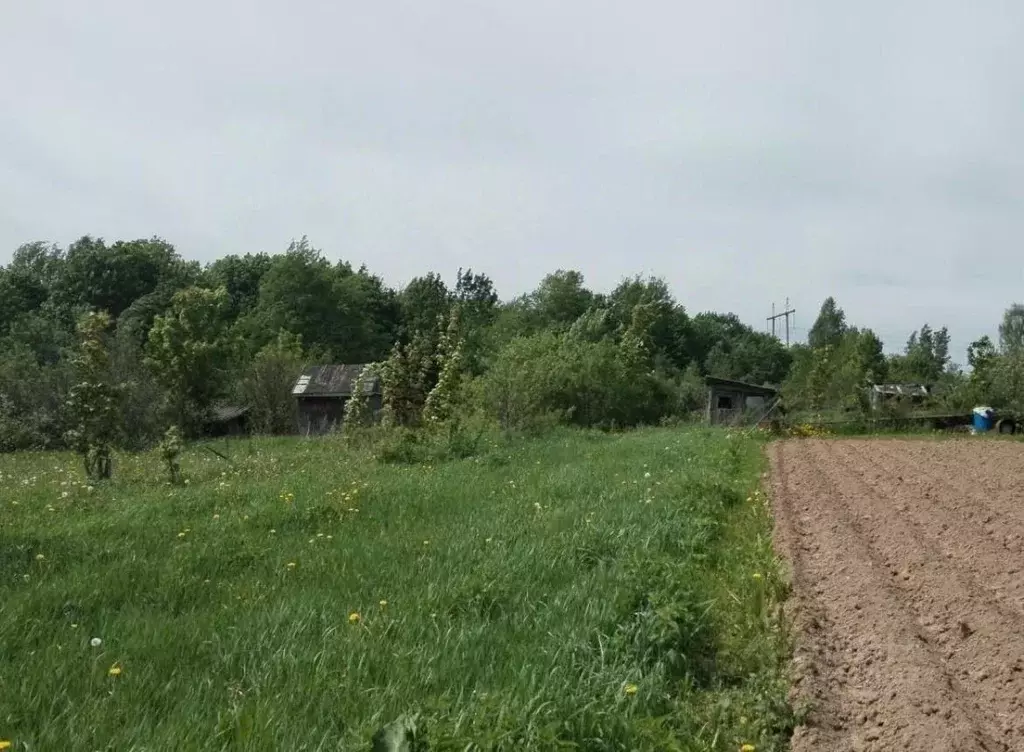 Участок в Московская область, Дмитровский муниципальный округ, д. ... - Фото 0