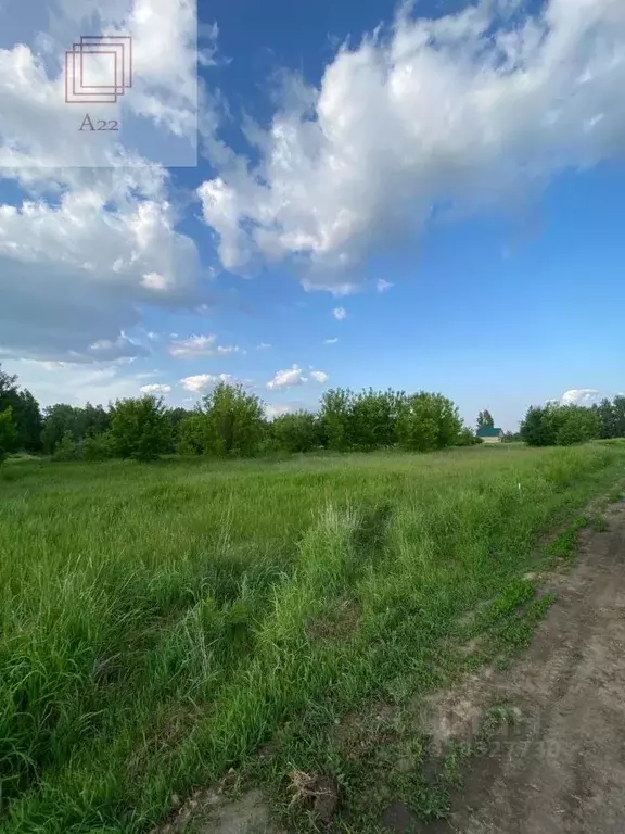 Участок в Алтайский край, Барнаул городской округ, пос. Бельмесево ул. ... - Фото 1