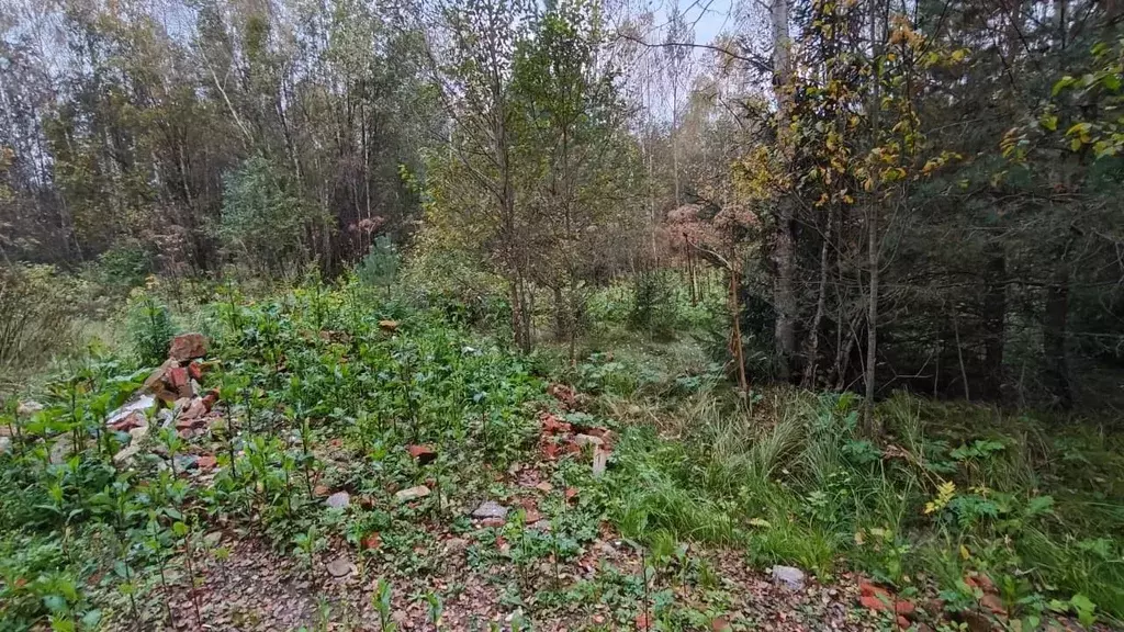 Участок в Московская область, Руза  (10.57 сот.) - Фото 1