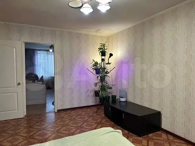 3-к. квартира, 60 м, 5/5 эт. - Фото 0