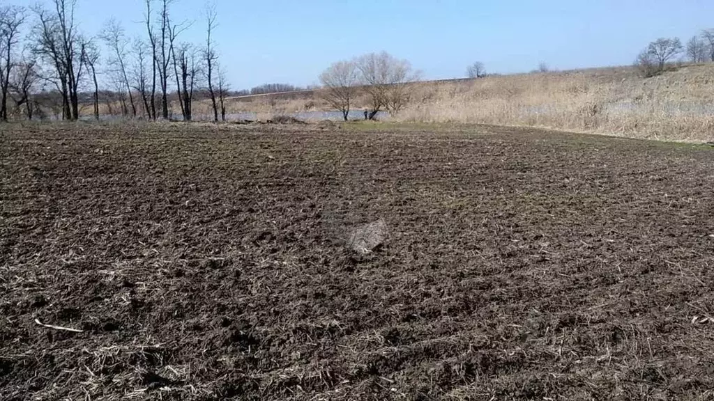 Дом в Краснодарский край, Усть-Лабинский район, Кирпильское с/пос, ... - Фото 2