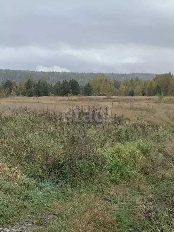 Участок в Коми, Ухта Первомайская ул., 44А (8.2 сот.) - Фото 0