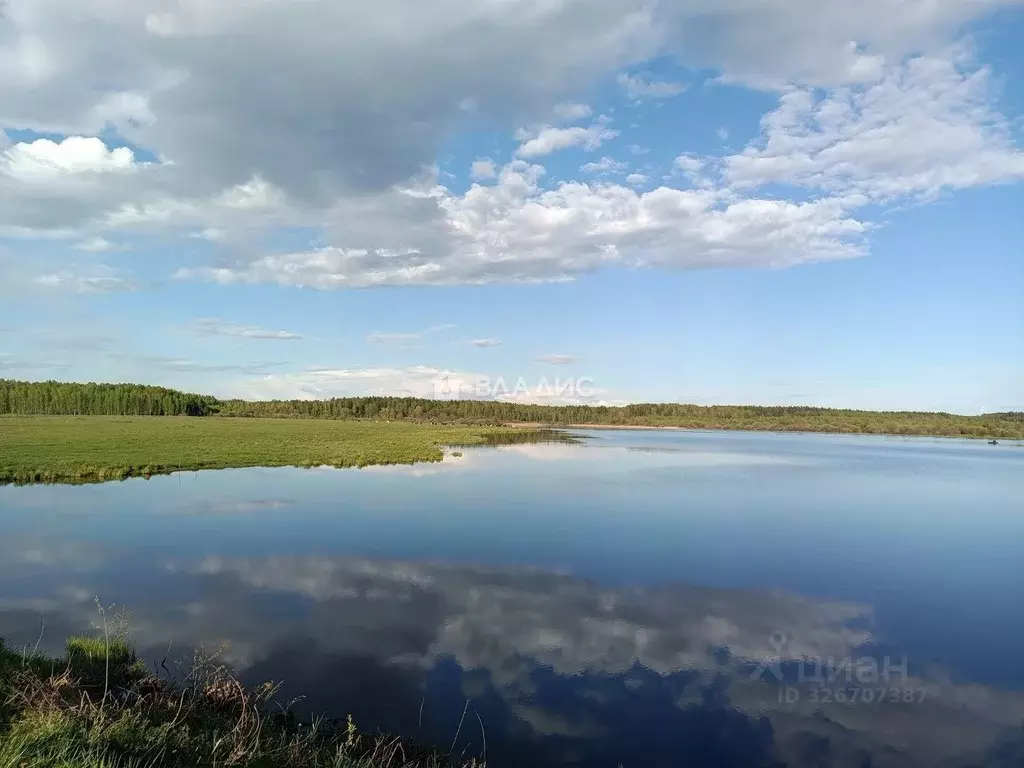 Участок в Владимирская область, Судогодский район, д. Станки  (19.54 ... - Фото 1