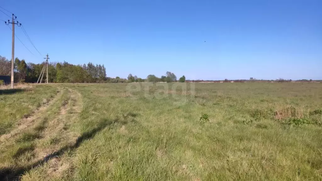 Участок в Калининградская область, Гурьевский муниципальный округ, ... - Фото 1