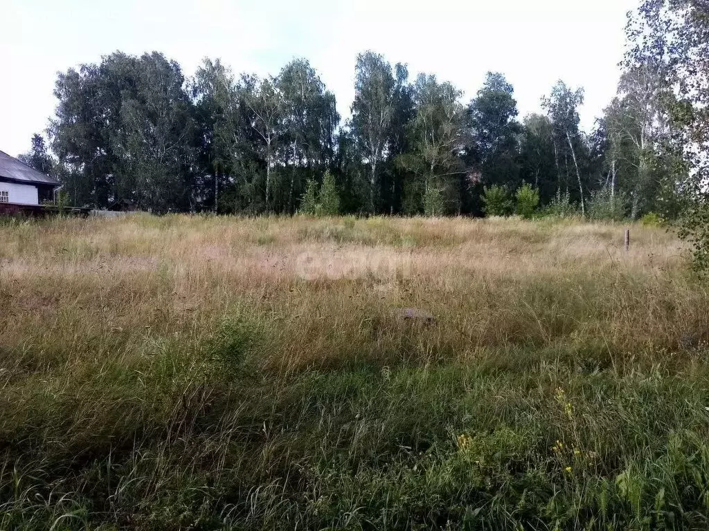 Участок в Верх-Обский, Лесная улица (16 м) - Фото 1